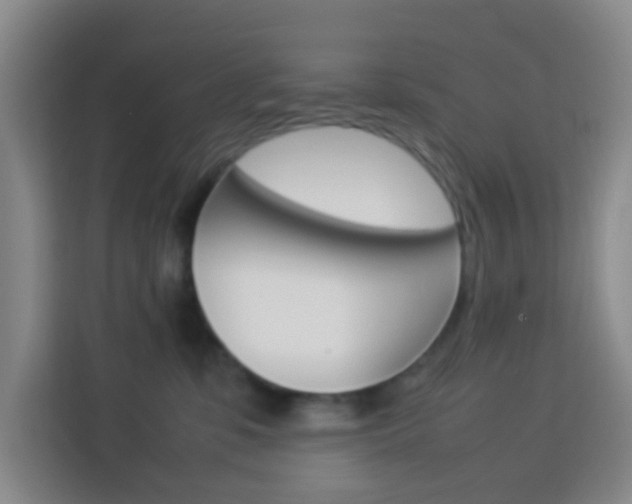 X0000114060331200910051000