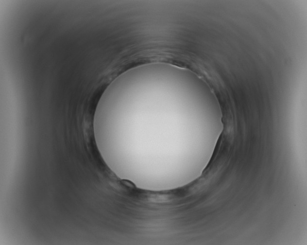 X0000114060332200910051000