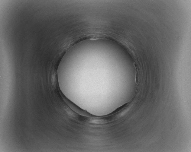 X0000114060336200910051000
