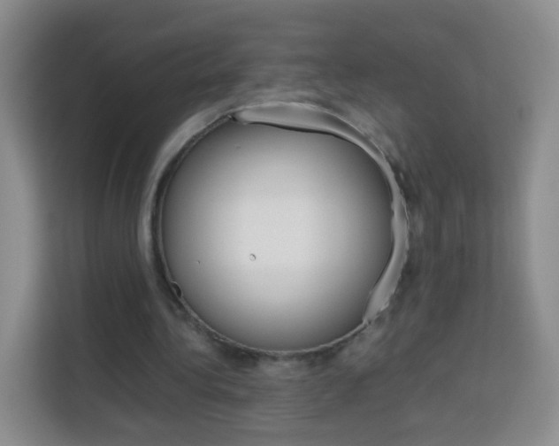 X0000114060340200910051000