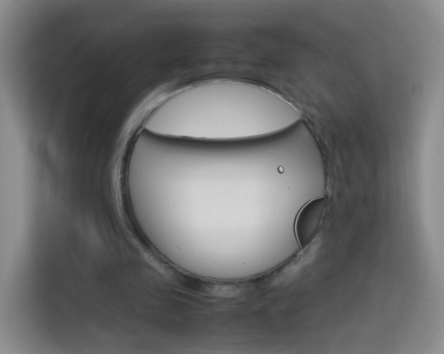 X0000114060341200910051000