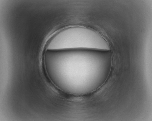 X0000114060344200910051000