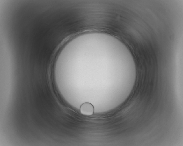 X0000114060348200910051000