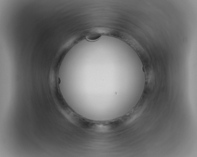 X0000114060352200910051000