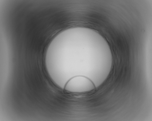 X0000114060360200910051000