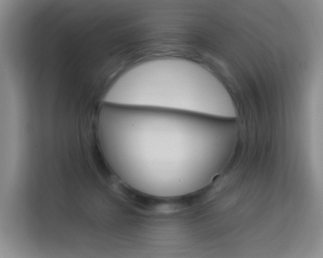 X0000114060364200910051000