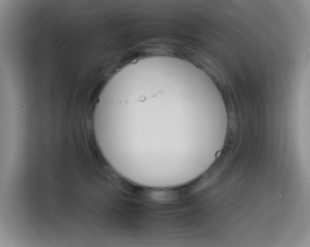 X0000114060371200910051000