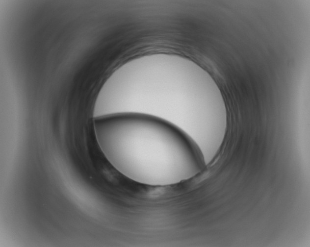 X0000114060382200910051000