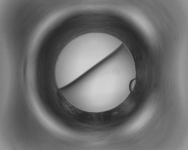 X0000114060383200910051000