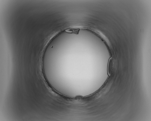 X0000114060385200910051000