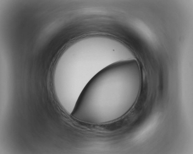X0000114060387200910051000