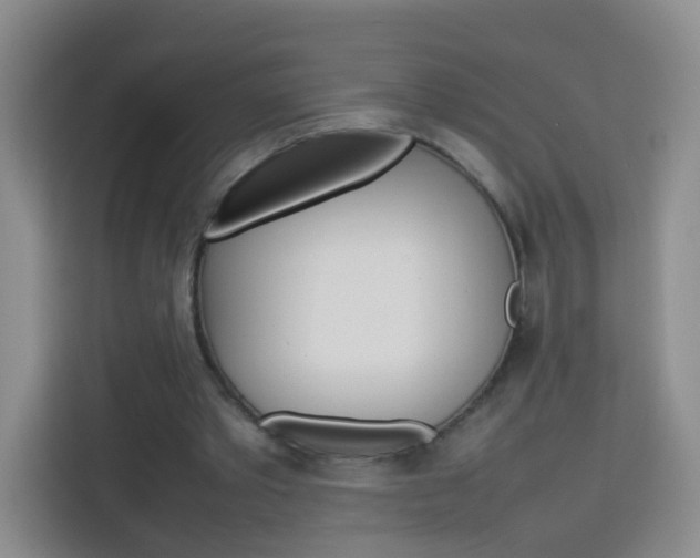 X0000114060389200910051000