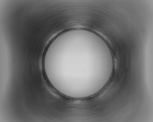X0000114060390200910051000