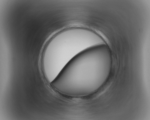 X0000114060391200910050959