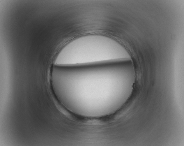 X0000114060397200910050959