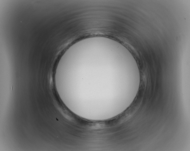 X0000114060398200910050959