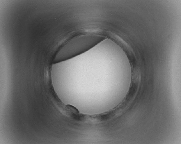 X0000114060405200910050959