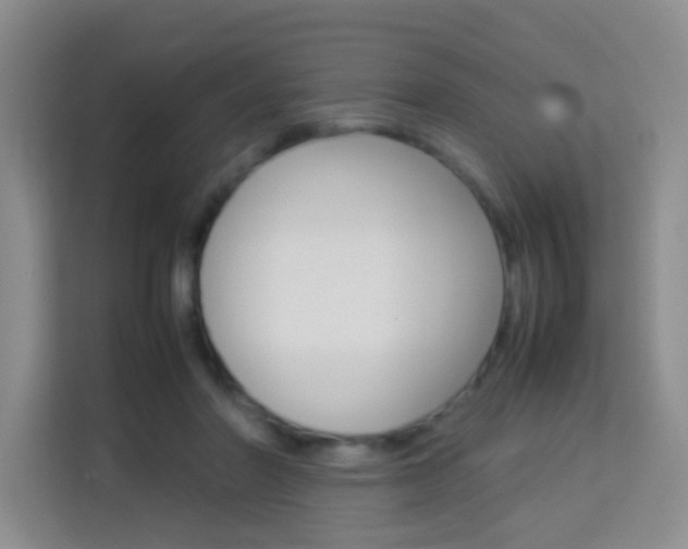 X0000114060406200910050959