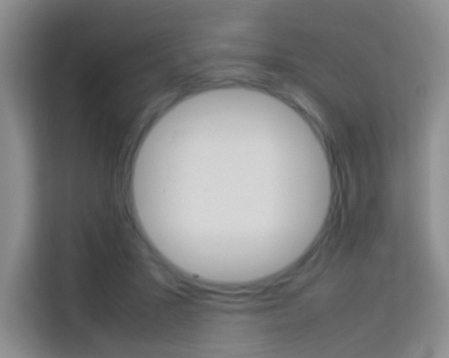 X0000114060407200910050959
