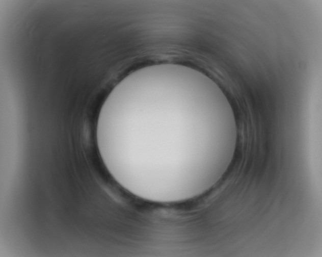 X0000114060408200910050959