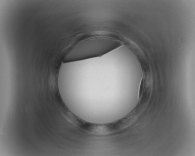 X0000114060409200910050959