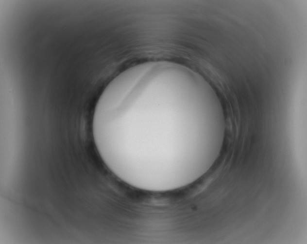 X0000114060416200910050959