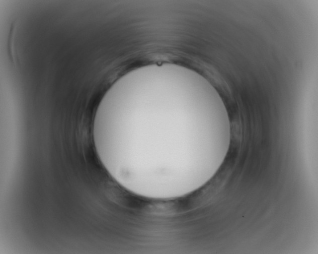 X0000114060422200910050959