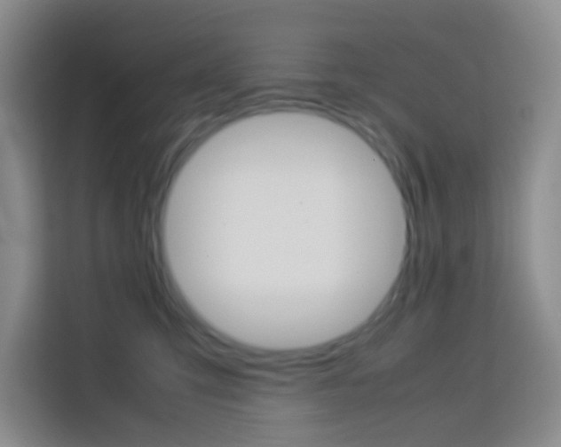 X0000114060423200910050959