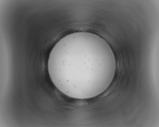 X0000114060424200910050959