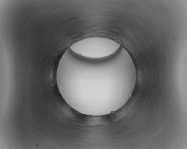 X0000114060428200910050959