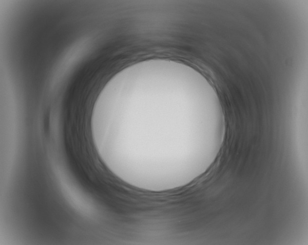 X0000114060429200910050959