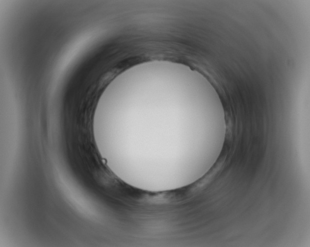 X0000114060430200910050959