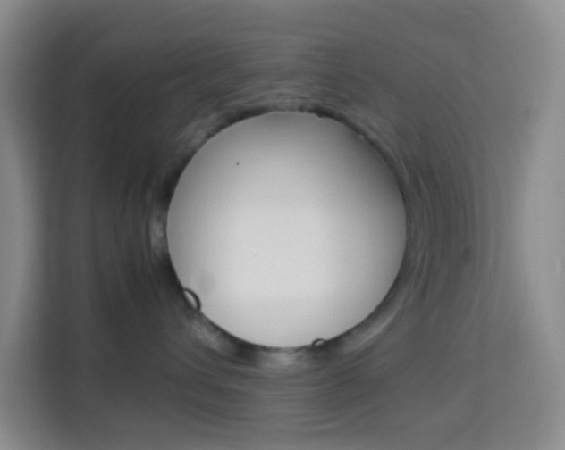 X0000114060432200910050959