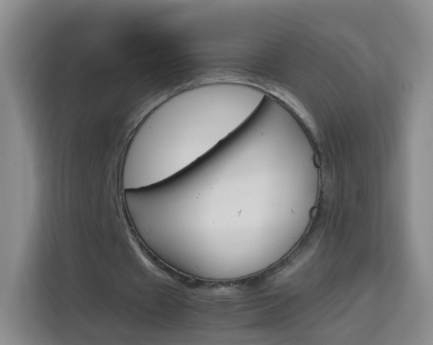 X0000114060433200910050958