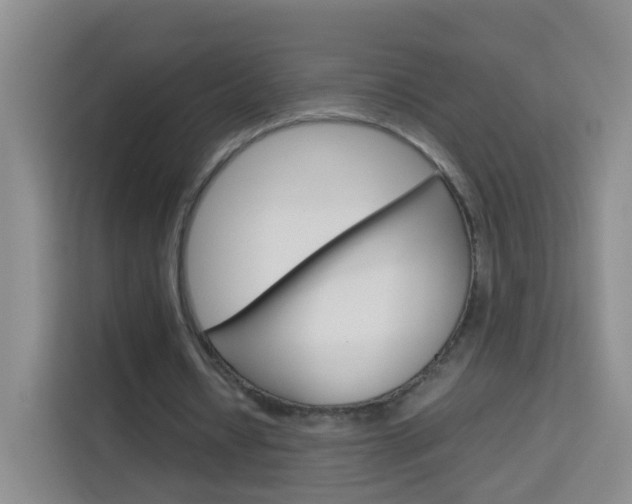 X0000114060434200910050958