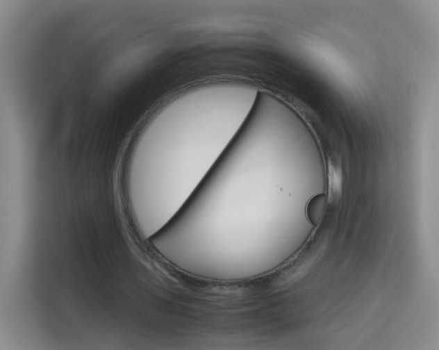 X0000114060435200910050958