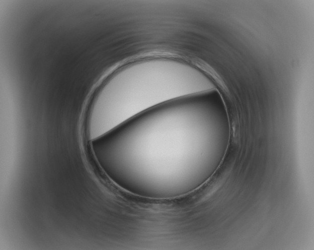 X0000114060436200910050958