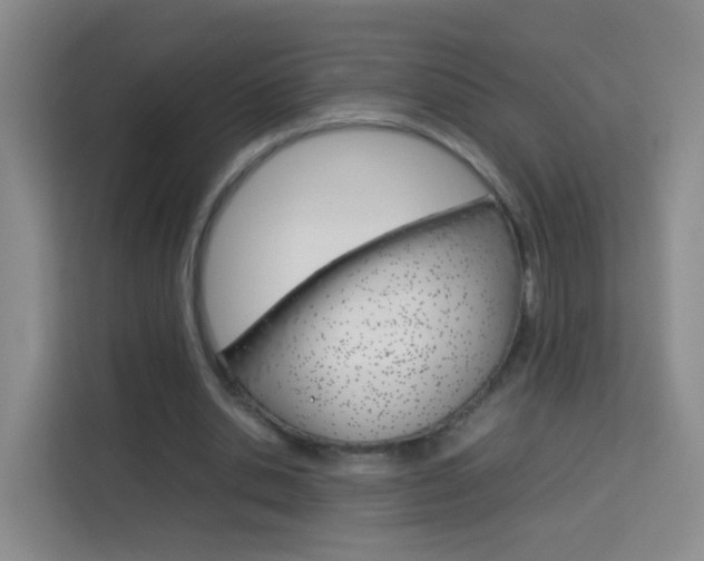 X0000114060438200910050958