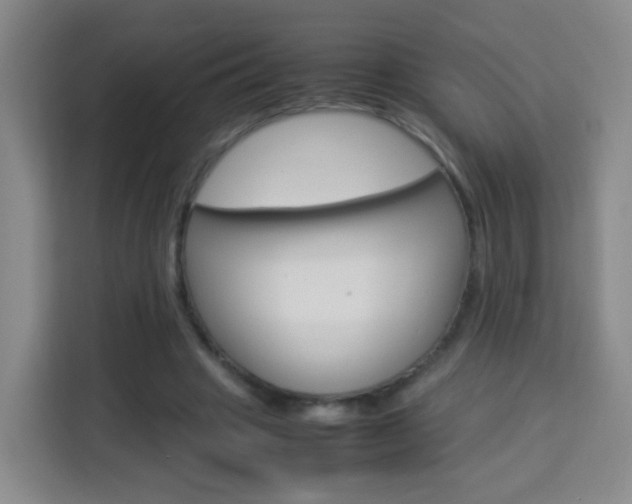 X0000114060441200910050958