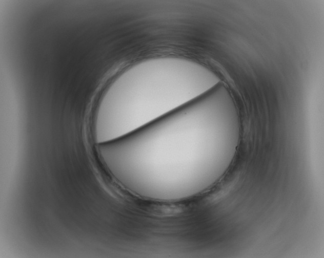 X0000114060443200910050958