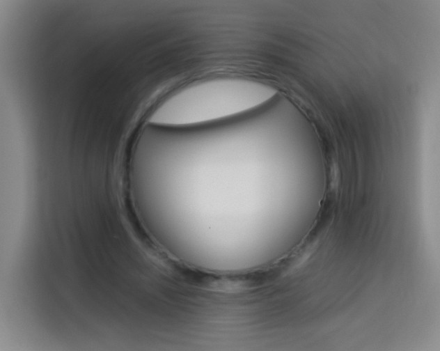 X0000114060444200910050958