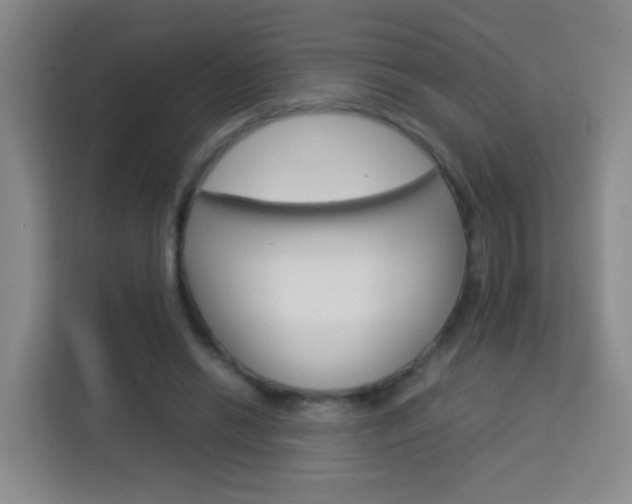 X0000114060446200910050959