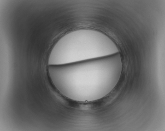 X0000114060450200910050959