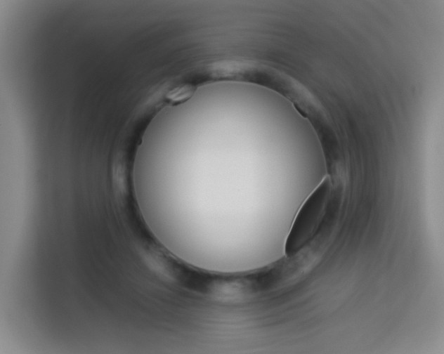 X0000114060452200910050959