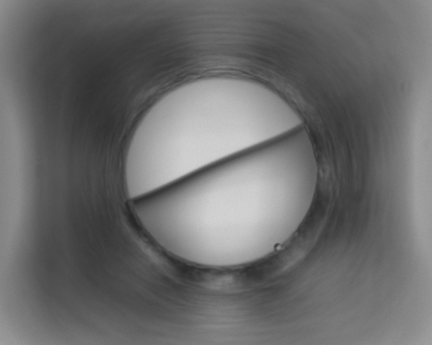 X0000114060454200910050959
