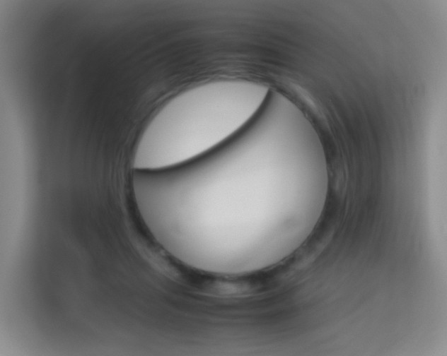 X0000114060455200910050959