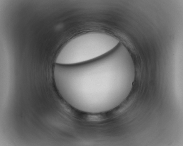 X0000114060457200910050959