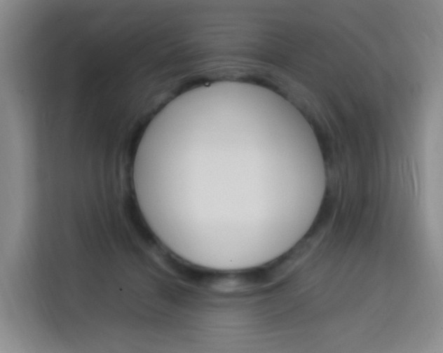 X0000114060460200910050959