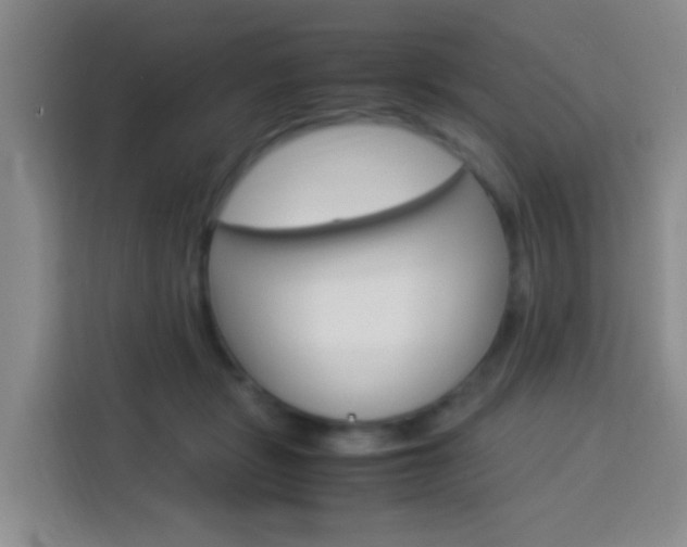 X0000114060461200910050959