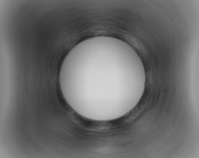 X0000114060463200910050959